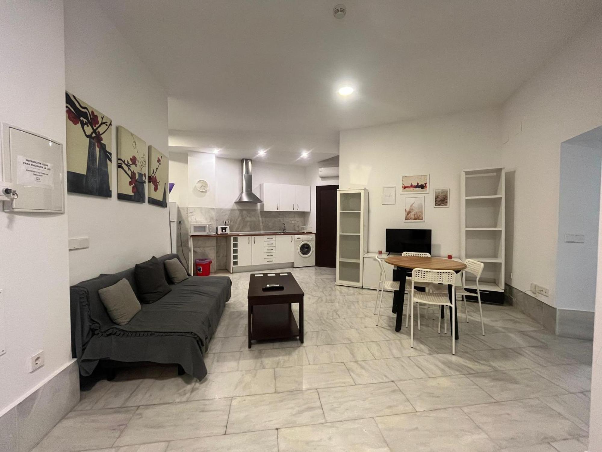 Espacioso Familiar En Pleno Centro Appartement *